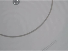 Vasca a vasca rotonda